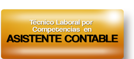 asistente contable